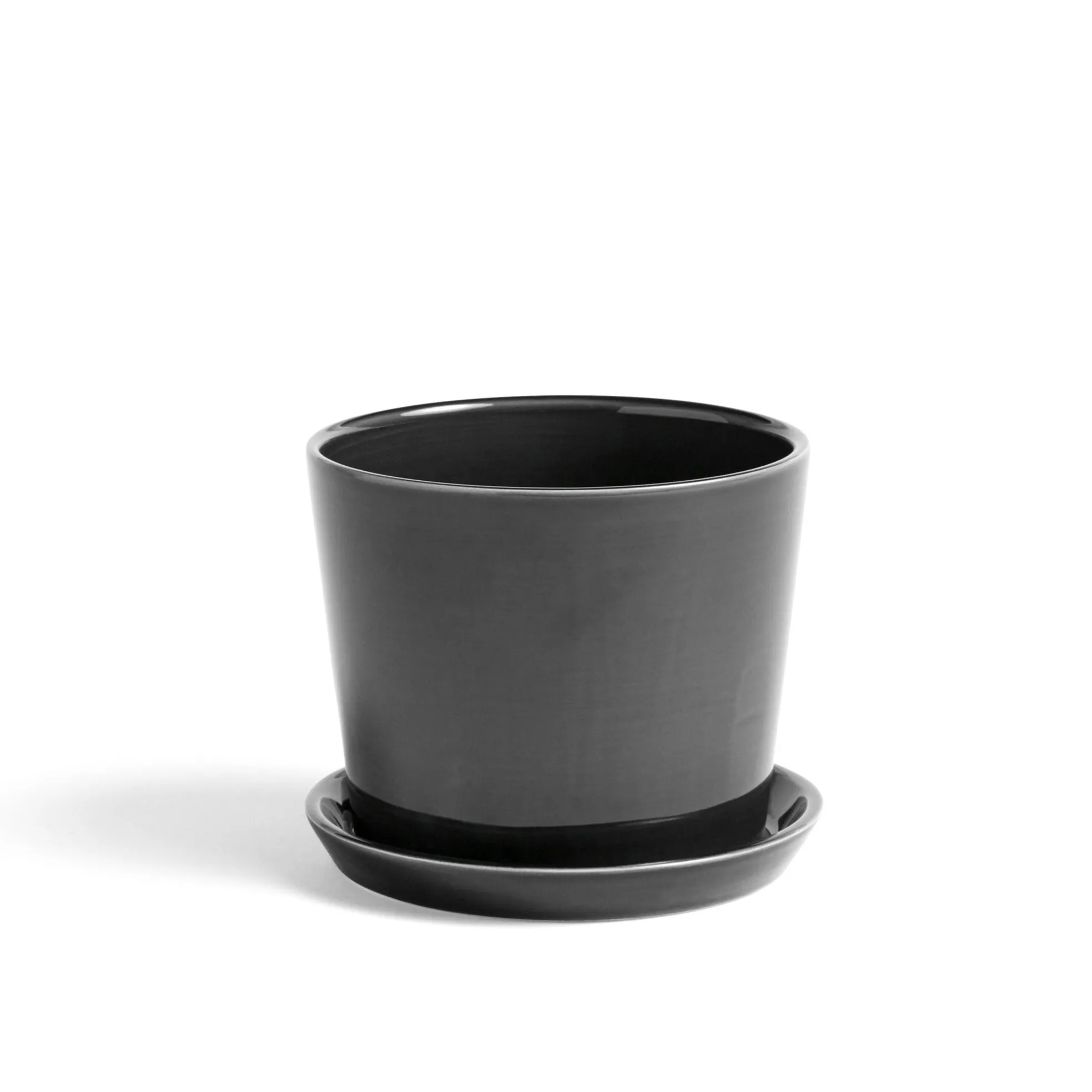 Anthracite Botanical Pot and Saucer