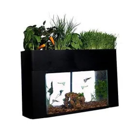 AquaSprouts Garden