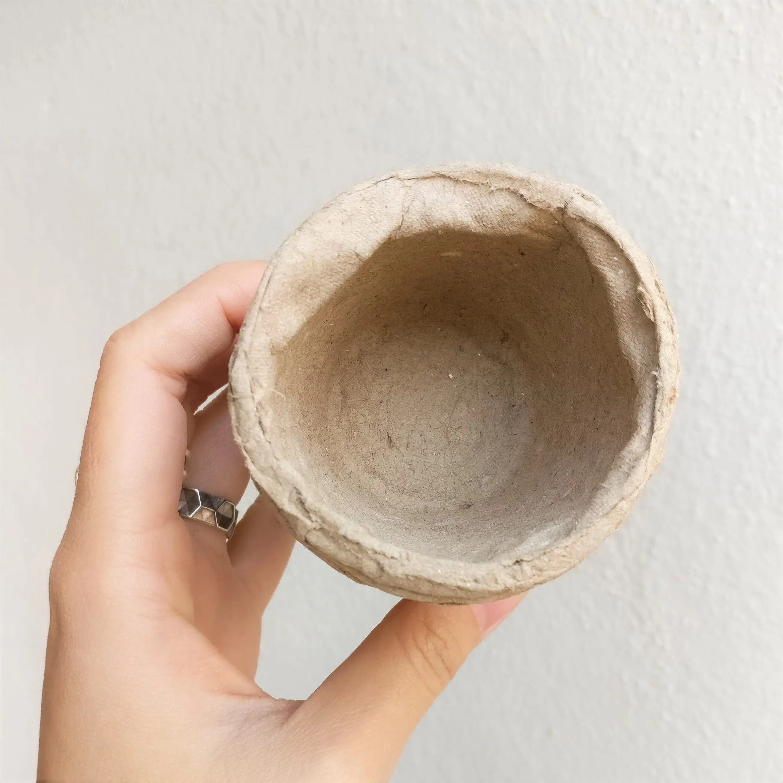 Biodegradable Peat Pot