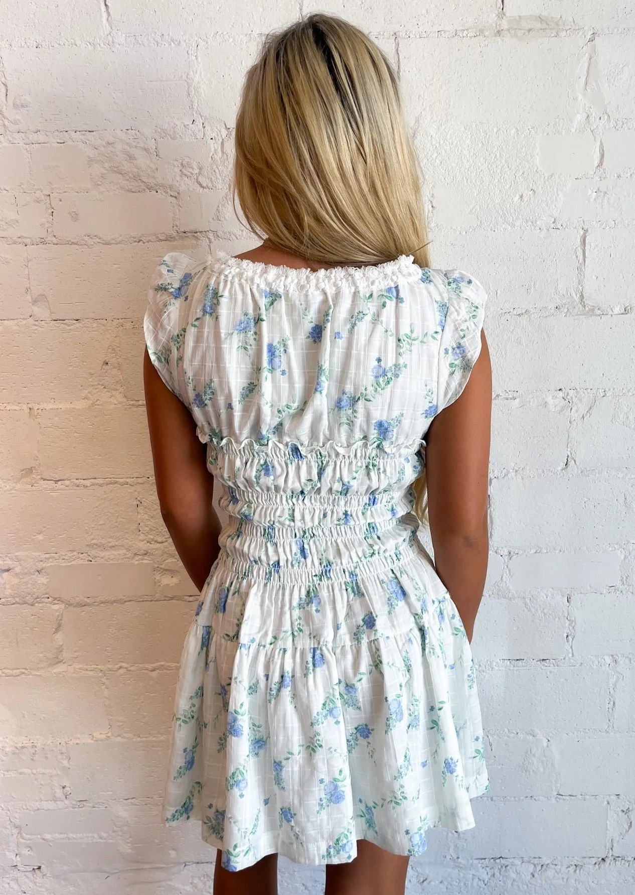 Blue Garden Dress