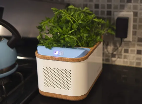 DEWPLANTER Automatic Watering Planter Box