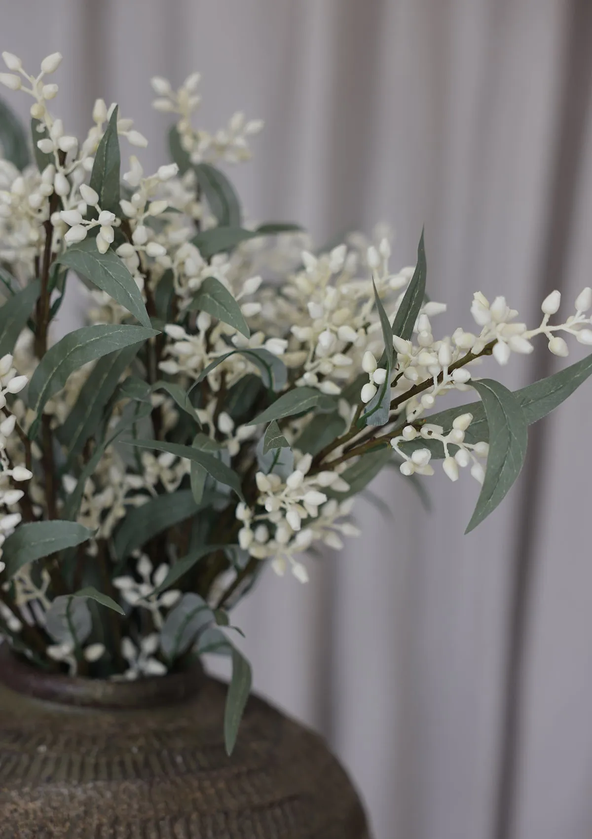 Flowering Eucalyptus Branch