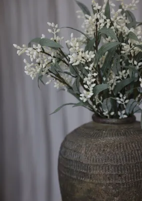 Flowering Eucalyptus Branch