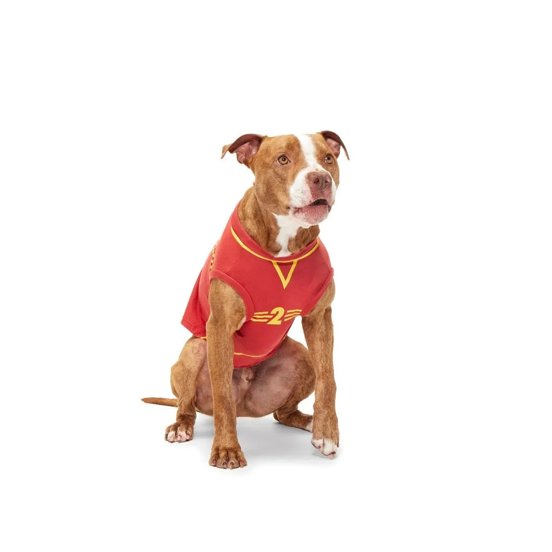 Gryffindor™ Quidditch Jersey