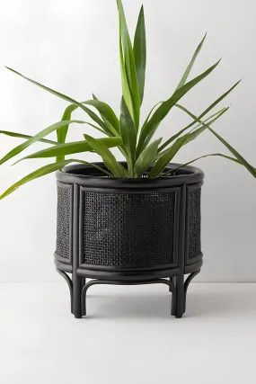 Rattan Plant Pots | Cane Flower Pots | Bamboo Planters - Adah