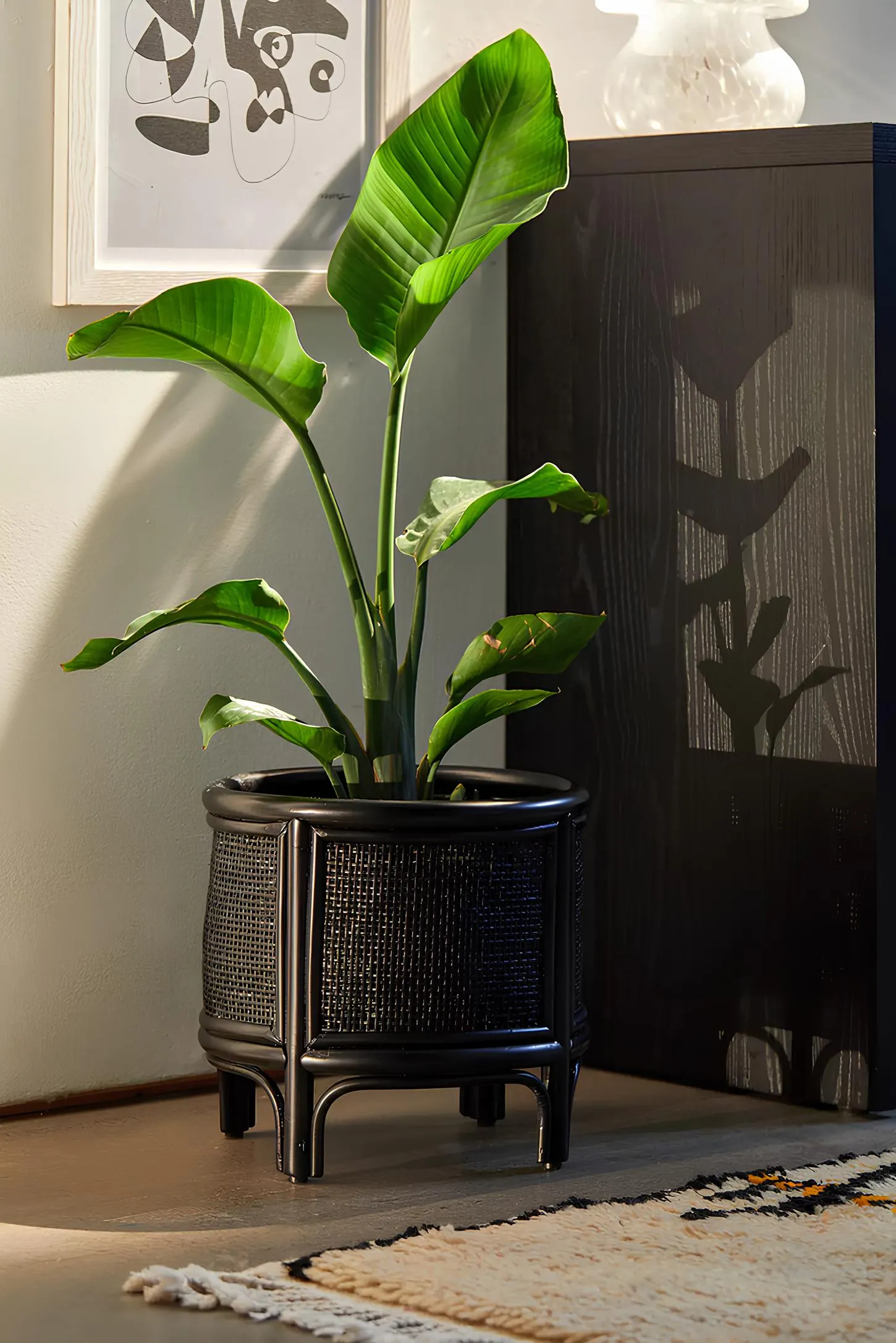 Rattan Plant Pots | Cane Flower Pots | Bamboo Planters - Adah