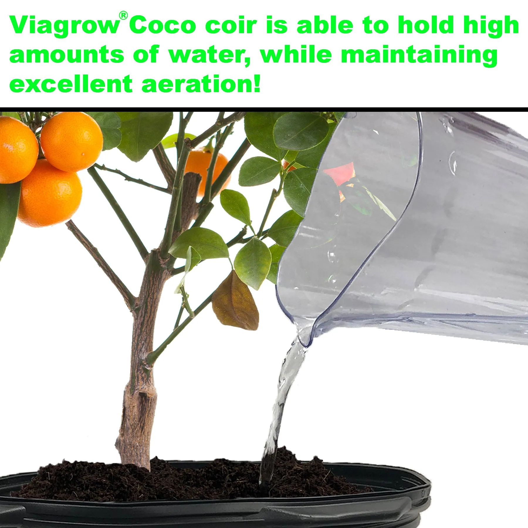 Viagrow 5KG (11LB) Coconut Coir Compressed Premium Grow Media